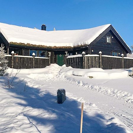 Holiday Home Byrkjelo Byrkjelobrua Zewnętrze zdjęcie
